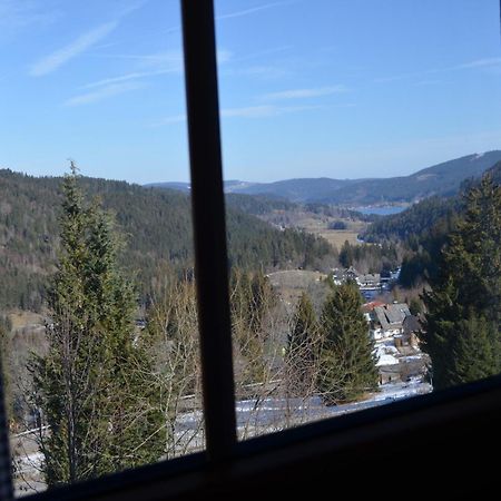 Ferienwohnung Seeblick Nr 4 2-Zimmer, Baerental, Feldberg Rotwasser Kültér fotó